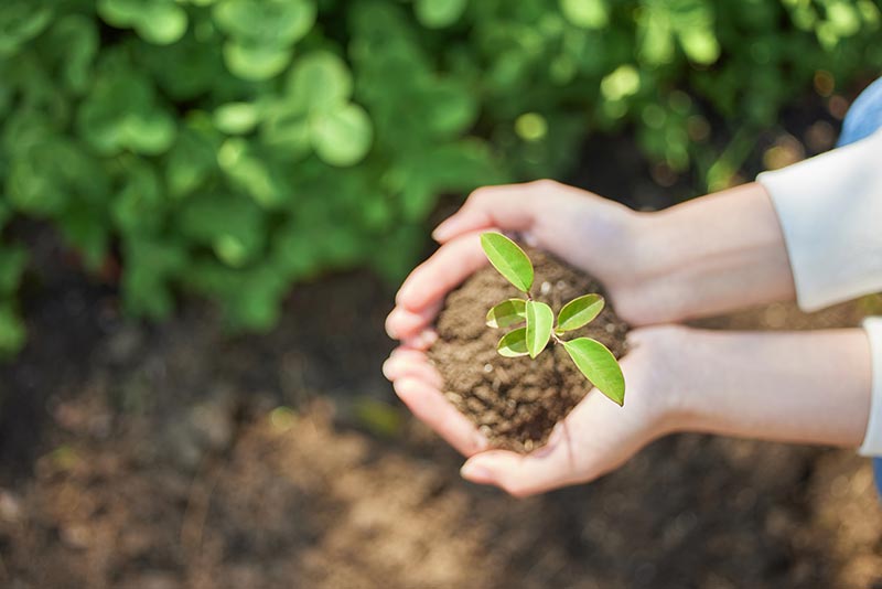 9001cc��ɳ�Գ�Ϊ��(�й����޹�˾)-BinG�ٿ�