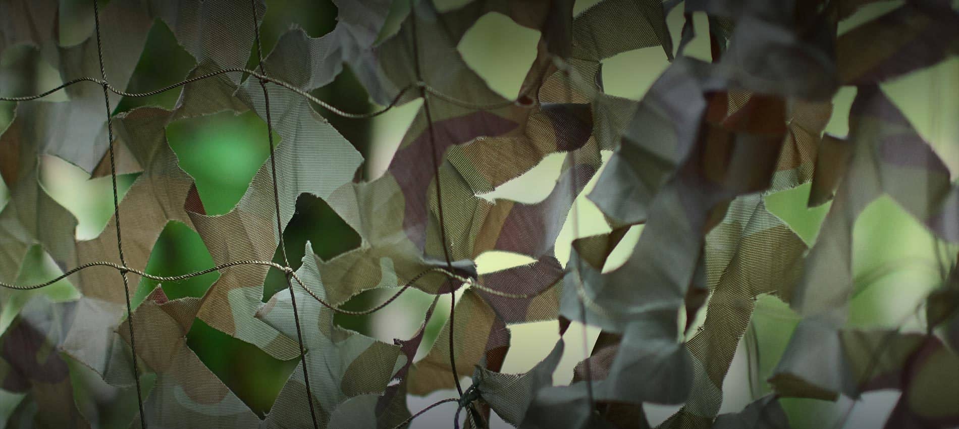 9001cc金沙以诚为本(中国有限公司)-BinG百科